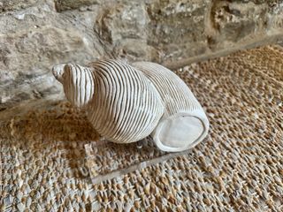 Decoración caracola de mármol con base