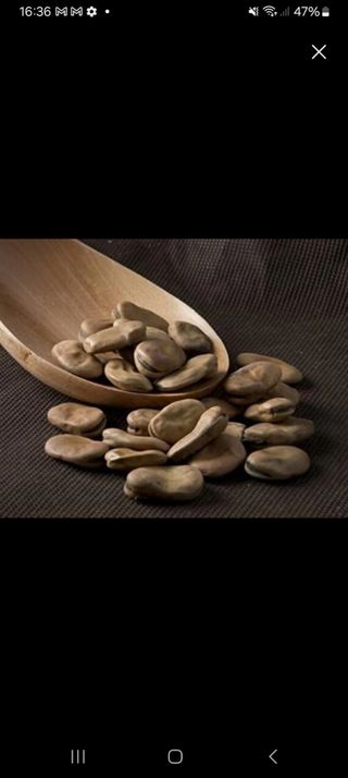 Semillas habas secas
1/2 kg