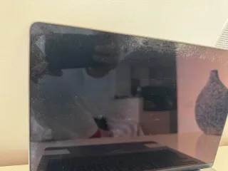 Pantalla MacBook Pro Retina 13" (A1708/A1706)