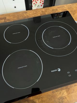 Placa inducción Fagor