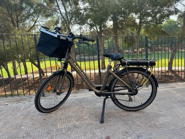 Bicicleta eléctrica Monty E-lemental