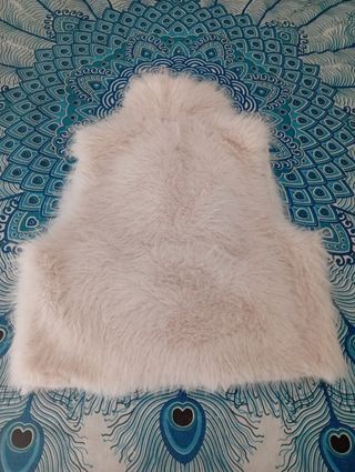 Gilet pelliccia beige 3 Desy