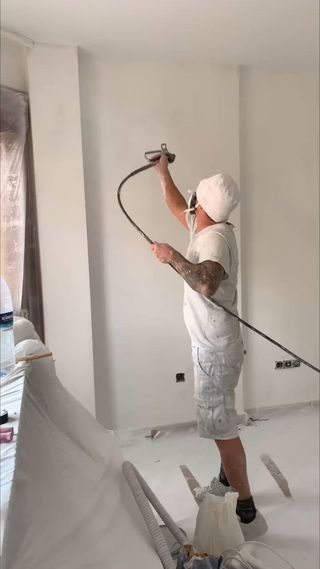 Pintores de casas: Trabajo profesional