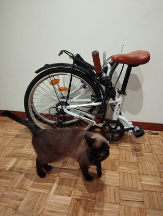 Bicicleta plegable Moma