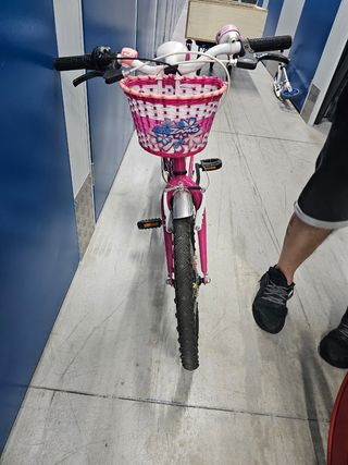 Bicicleta niña 20" DTB Fun 200