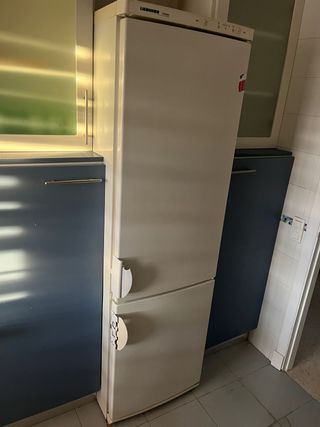 Frigorífico Liebherr combi