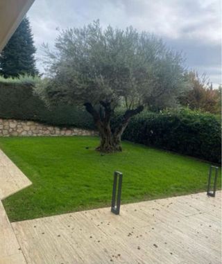 jardinero