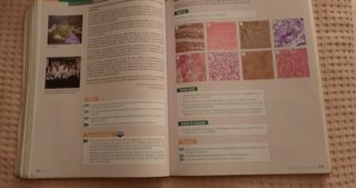 Inicia Biología y Geología 1.º Bachillerato. Li...