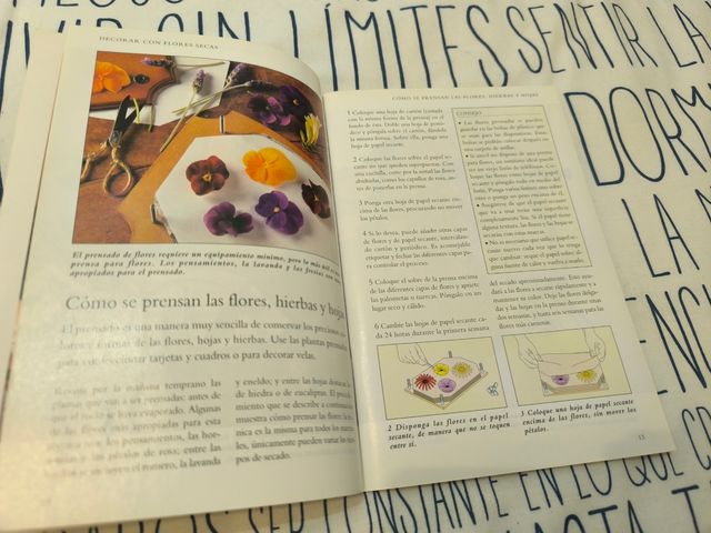 Decorar Con Flores Secas (Spanish Edition)