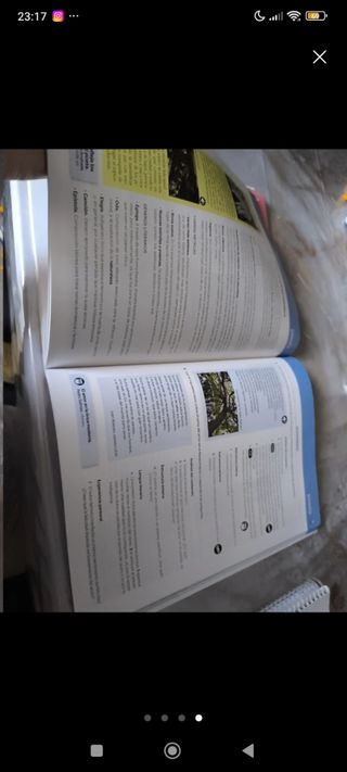Lengua castellana y Literatura 3 ESO LOMLOE