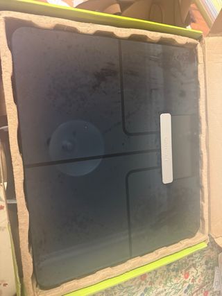 Báscula Garmin Index Smart