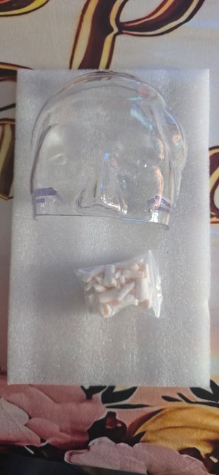 Modelo Dentadura - Práctica Dentista