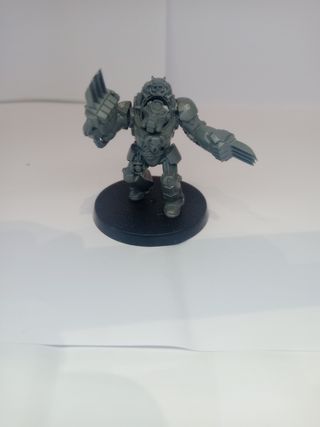 Exterminador de combate 