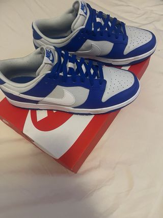 Nike Dunk Low Retro - Azul y Blanco