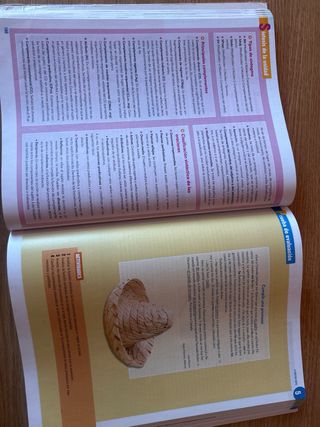 Lengua Castellana y Literatura 2º Bachillerato