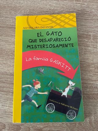 El gato que desapareció misteriosamente