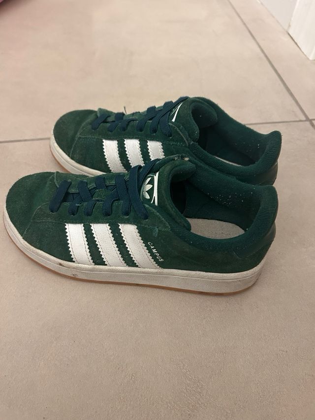 Adidas Campus verdi