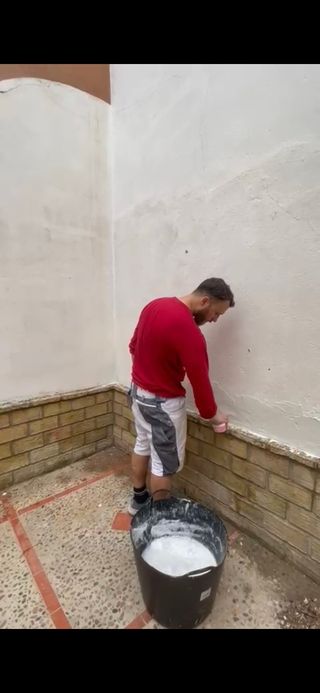Pintor profesional 