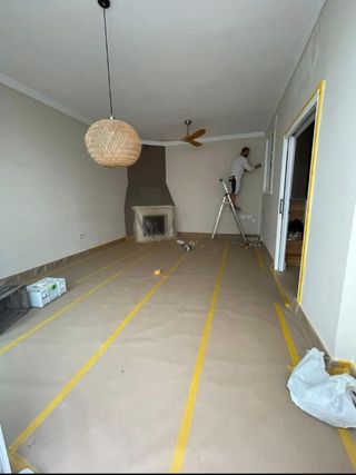 Pintor profesional 