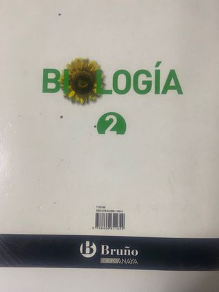 instituto 