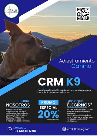 Adiestrador Canino acreditado por la ANACP