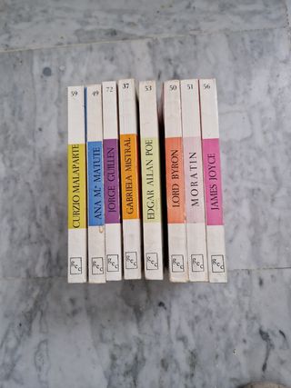 Colección Grandes escritores contemporáneos