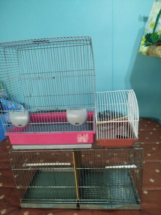 3 Jaulas pájaros