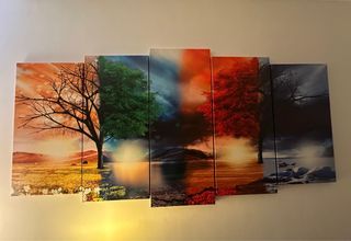 5 piezas cuadro - Naturaleza multicolor