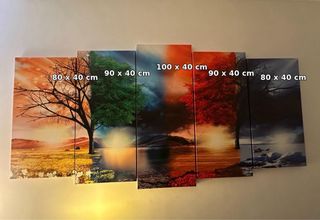 5 piezas cuadro - Naturaleza multicolor