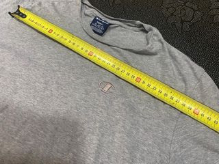 Camiseta Champion Gris