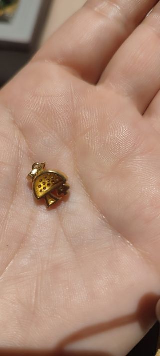 Charm Colgante Oro Amarillo