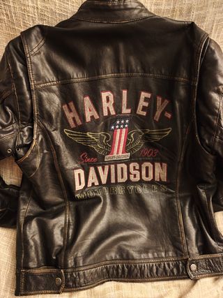 Cazadora Harley Davidson L (XL Europea)