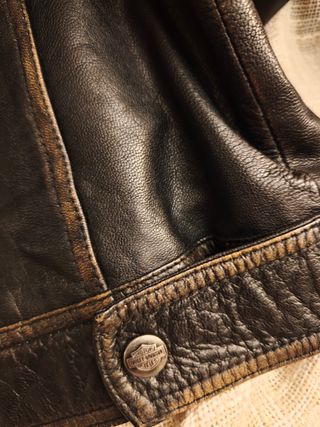 Cazadora Harley Davidson L (XL Europea)