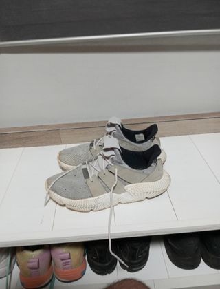 Adidas Prophere Gris