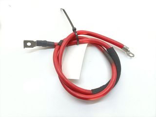 CABLEADO BMW X5 (E53) 3.0D (4)
