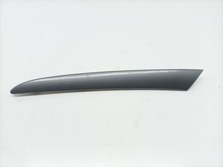 MOLDURA BMW X5 (E53) 3.0D (17)
