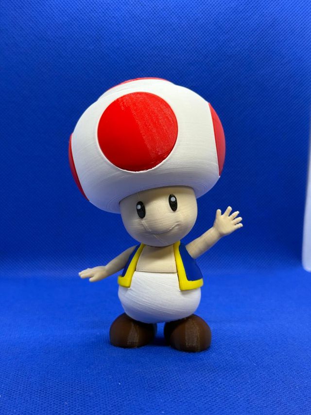 Funghetto Toad Super Mario 3D