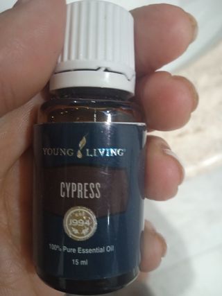 Aceite esencial Cypress Young Living 15ml