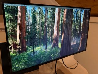 Monitor Dell P2225H 21.5" LED IPS
