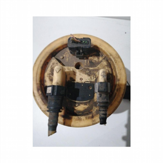 Aforador Peugeot 307 (2000-2008) 2.0 HDi (