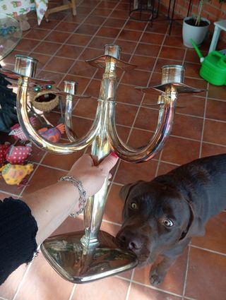 Candelabros plateados + Cafeteras y bandeja