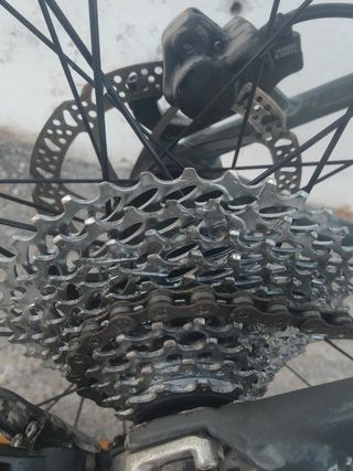 Bicicleta Focus Black Forest
