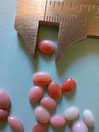 21 cabochon corallo rosa