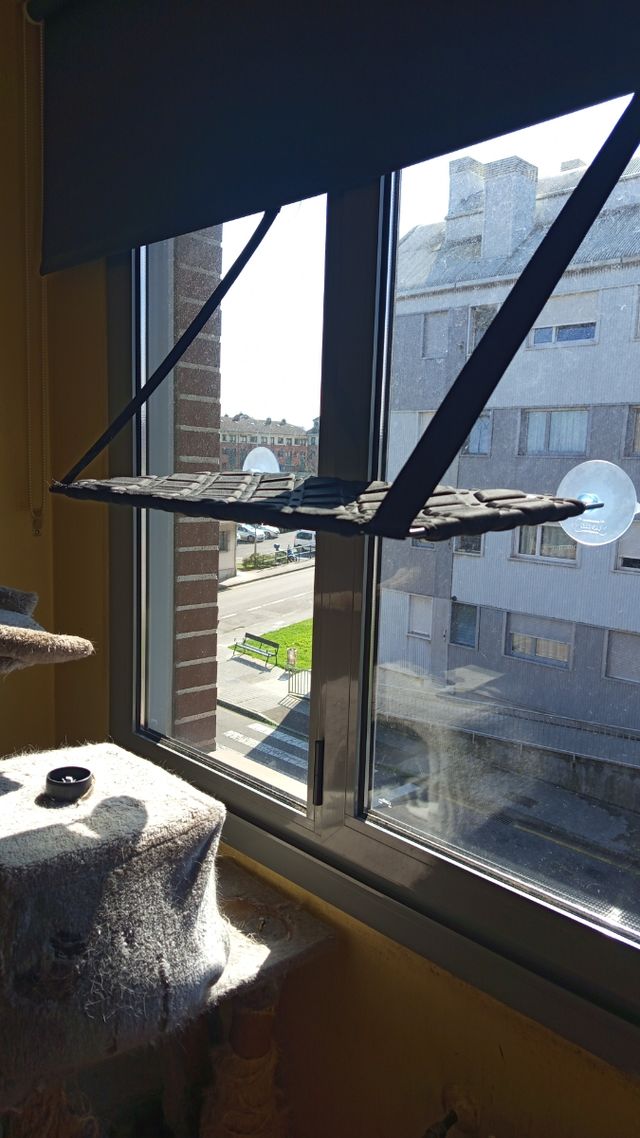 Hamaca gato ventana - negra