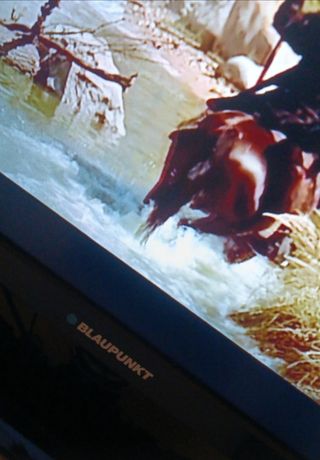 TV Blaupunkt 32" - TDT