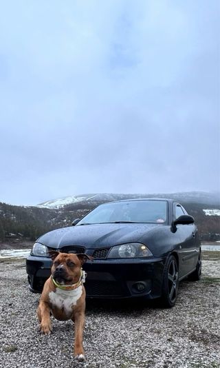 Seat Ibiza Cupra 6L - Despiece