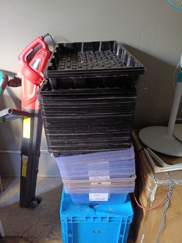 Bandejas cultivo - 50