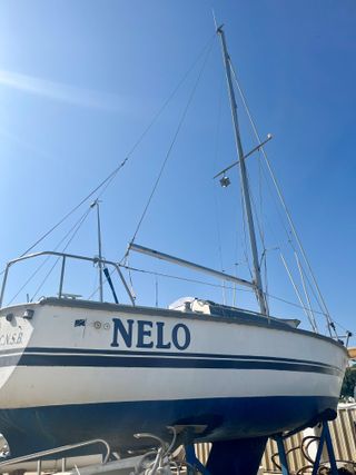 Velero Nelo 24 pies