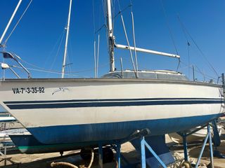 Velero Nelo 24 pies