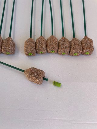10 Plomos Carp Fishing 80g